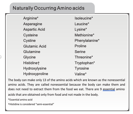 about Amino Acids in Protein